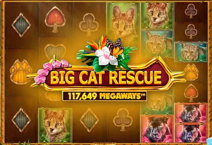 Top casino promotions displaying welcome bonuses and jackpot opportunities